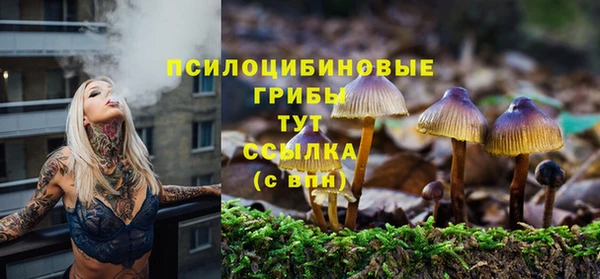 марки nbome Кукмор