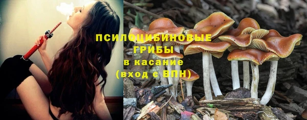 2c-b Балахна