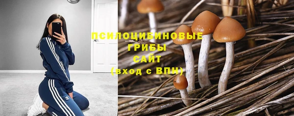 винт Балабаново