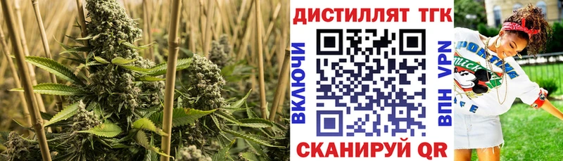 Купить где  Армянск  ТГК Wax 